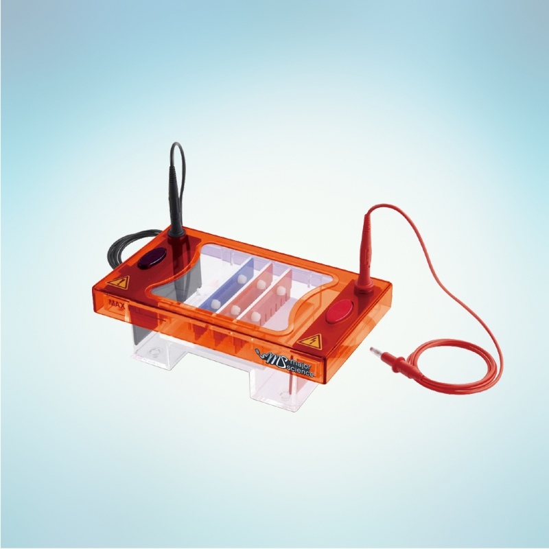 Midi plus Horizontal Electrophoresis